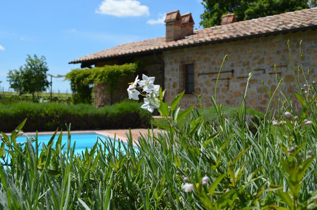 Agriturismo Eco-Bio Villa Vacasio Pitigliano Eksteriør billede