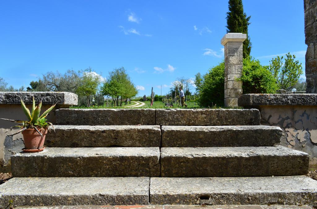 Agriturismo Eco-Bio Villa Vacasio Pitigliano Eksteriør billede
