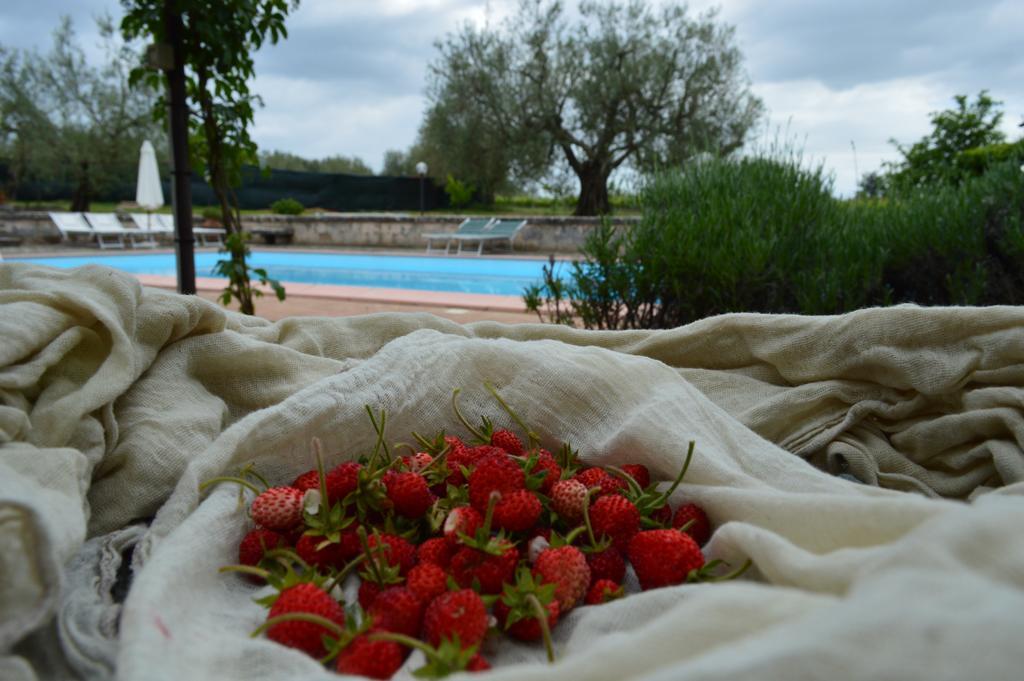 Agriturismo Eco-Bio Villa Vacasio Pitigliano Eksteriør billede