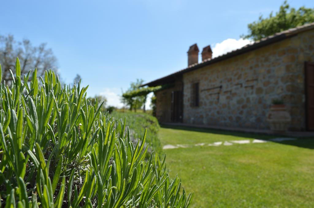 Agriturismo Eco-Bio Villa Vacasio Pitigliano Eksteriør billede